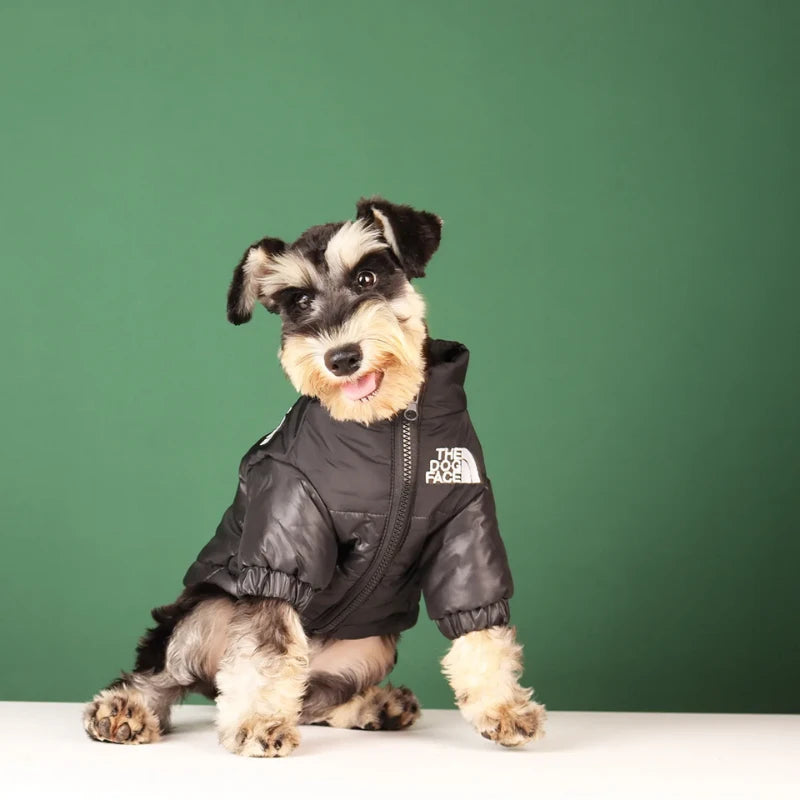 Doudoune chien | The Dog Face - PetitePromenade