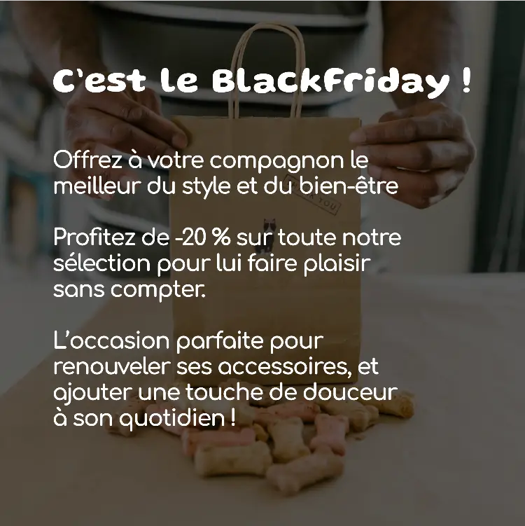 Banniere-BlackFriday