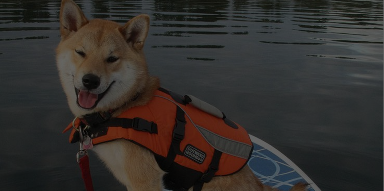 Banniere-Gilet-de-sauvetage