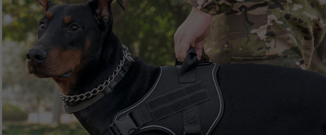 Banniere-Harnais-Tactique