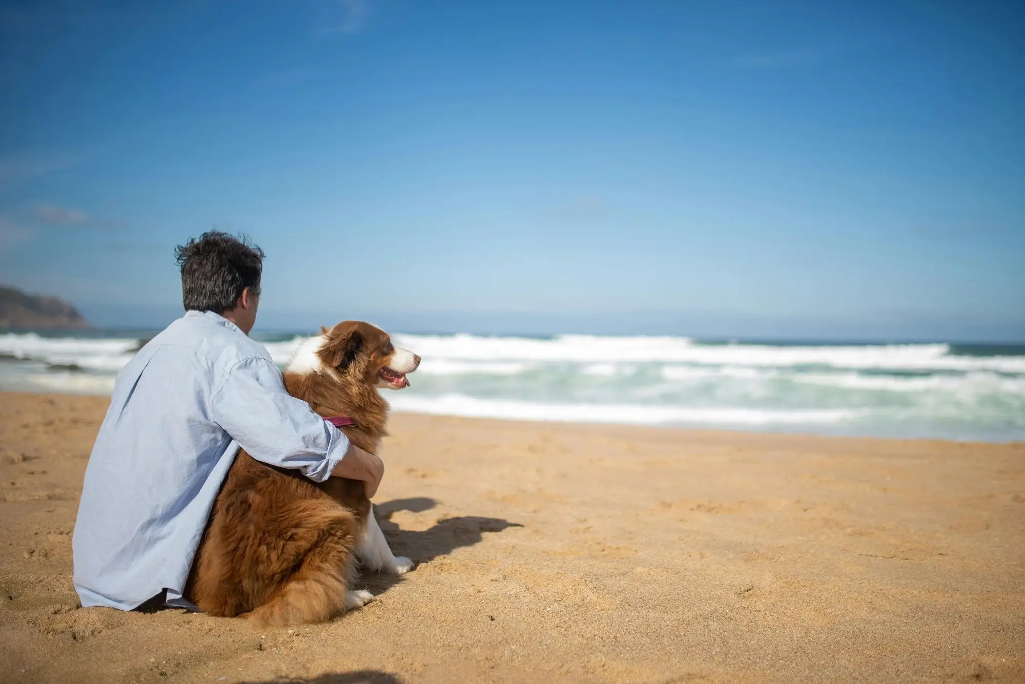 Banniere_NotreHistoire