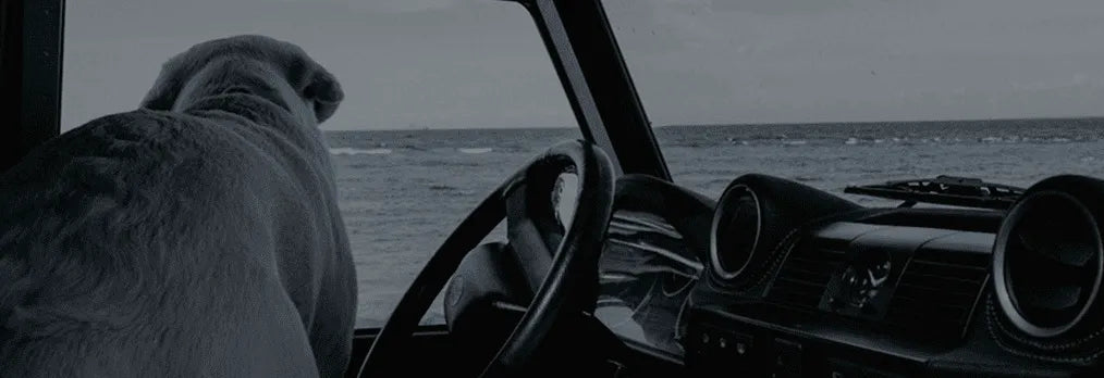 Bannière longues promenades