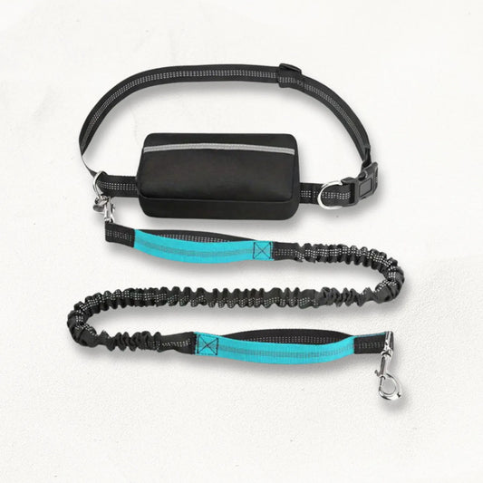 Ceinture_sacoche_canicross_TrailBuddy