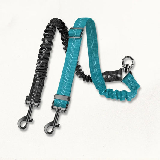 Double Laisse pour Chiens | FlexiBond