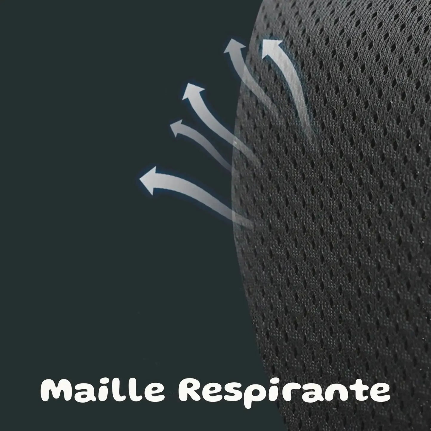 Harnais chien grande taille | PowerFit PetitePromenade