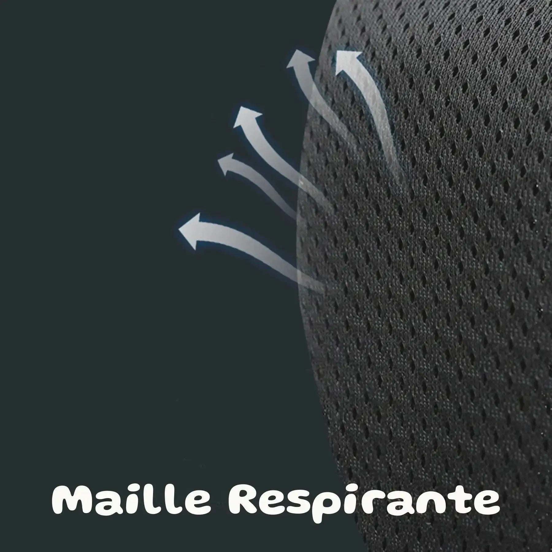 Harnais chien grande taille | PowerFit PetitePromenade