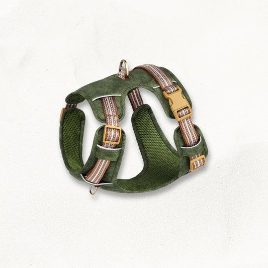 Harnais_Waterproof_Chien_AquaGuard