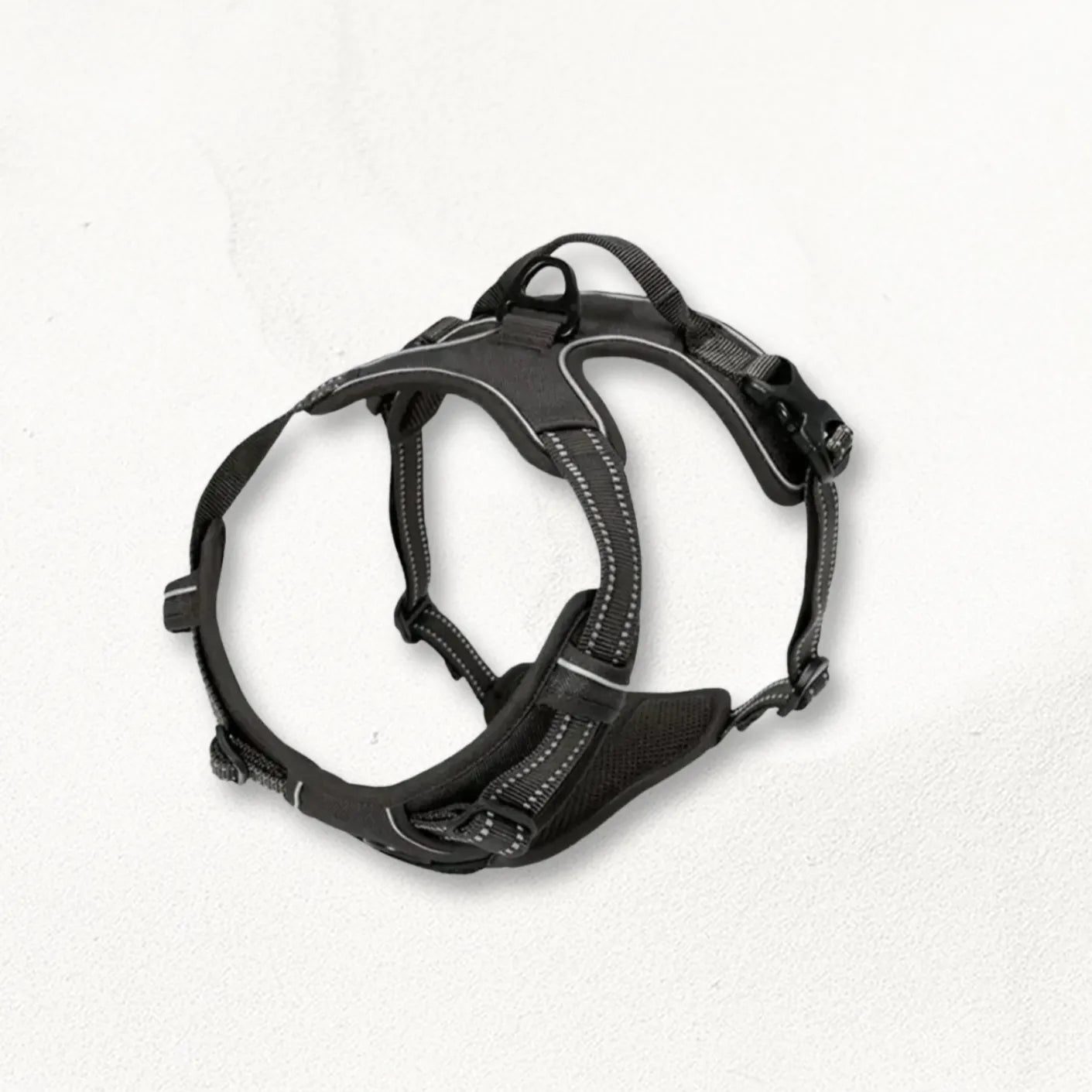 Harnais_anti_traction_grand_chien_BoldPaw