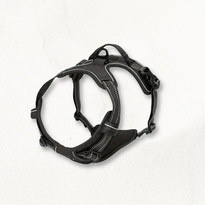 Harnais_anti_traction_grand_chien_BoldPaw