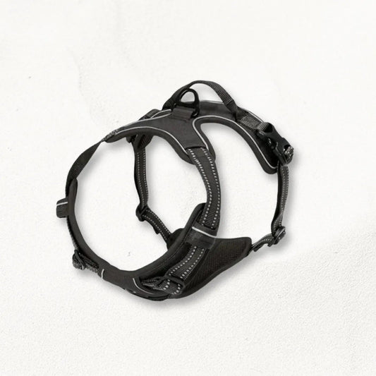 Harnais_anti_traction_grand_chien_BoldPaw