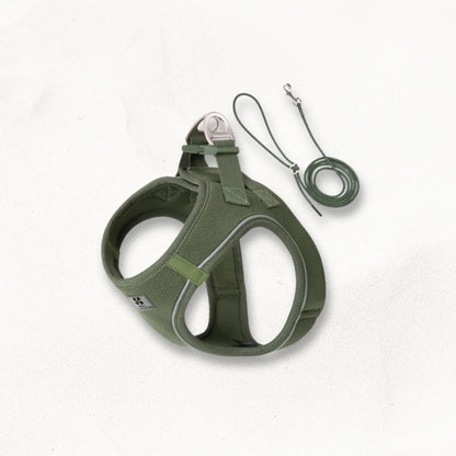 Harnais_avec_Laisse_pour_Petit_Chien_SmallWalk_Tactique