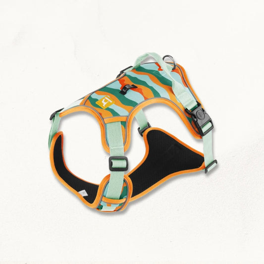 Harnais avec poignée pour chien | GripDog