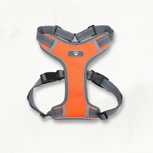 Harnais_chien_grande_taille_PowerFit