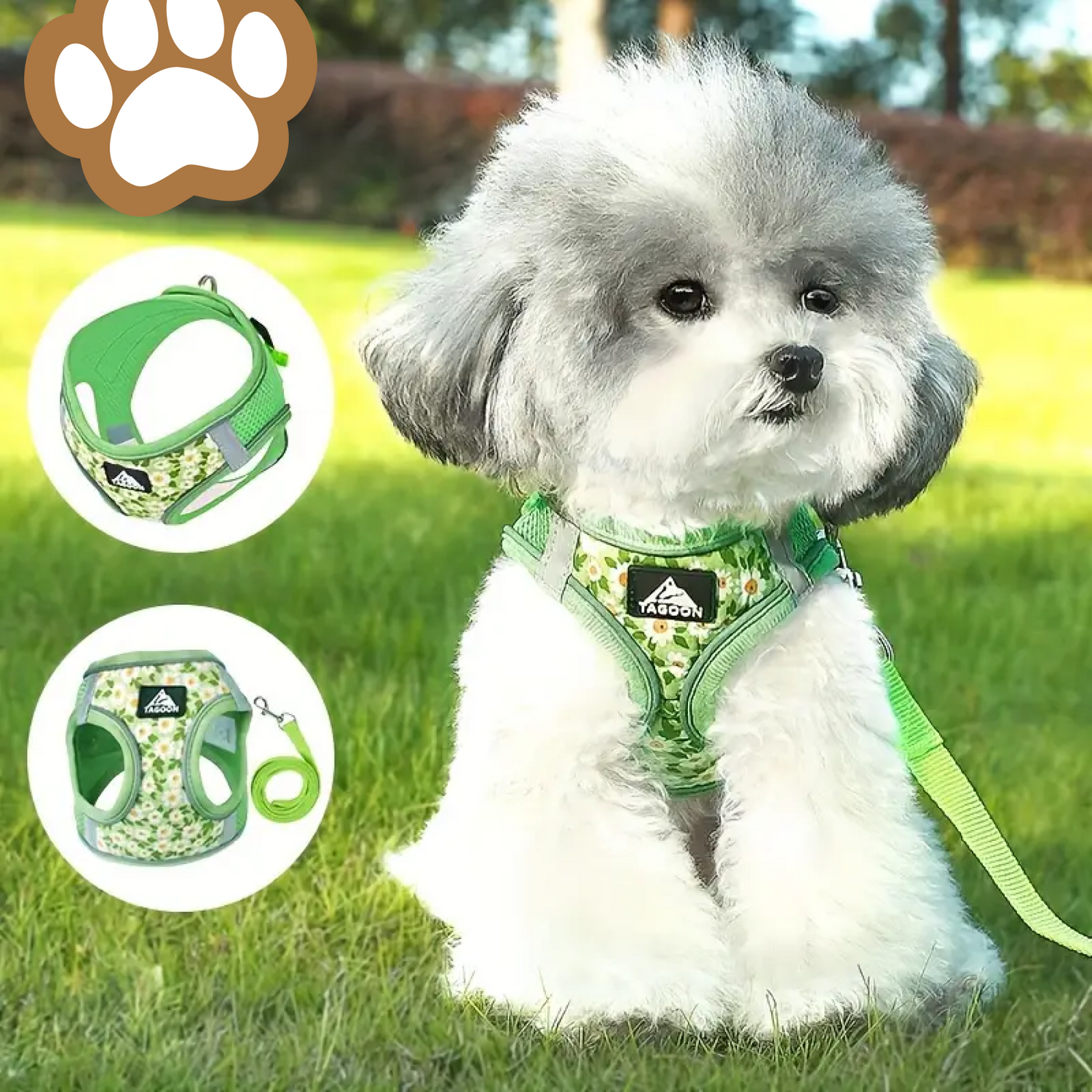 Harnais_pour_chien_motif_Bloomy-Caniche