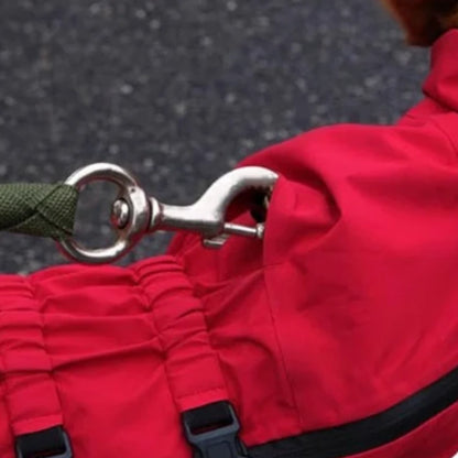 Manteau de pluie pour chien | CombiDog - PetitePromenade