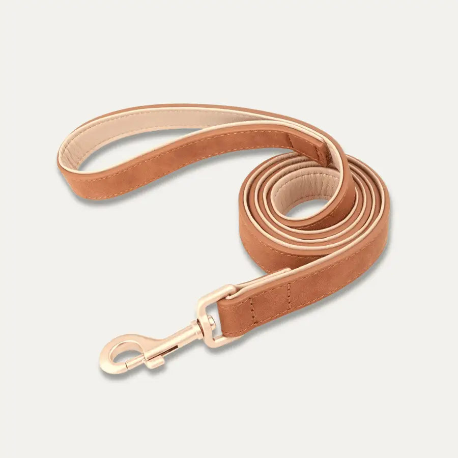 Laisse en Cuir pour Chien | Softy