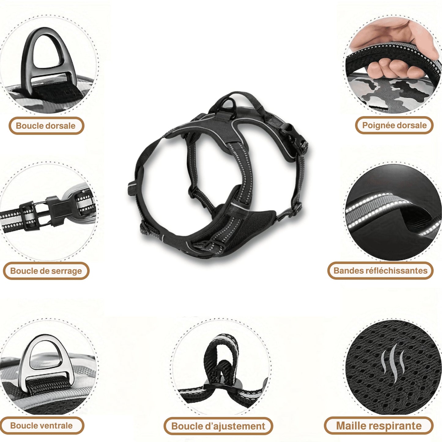 Harnais anti traction grand chien | BoldPaw