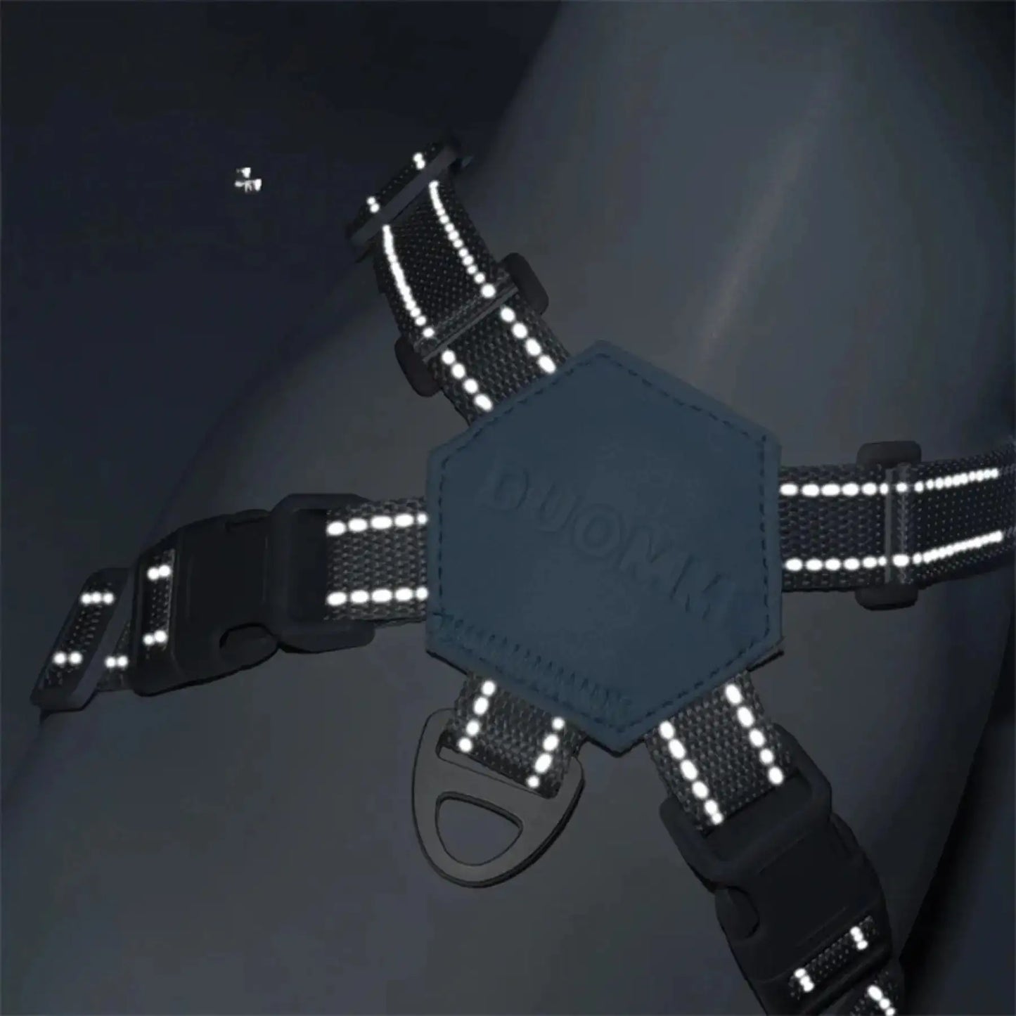 Harnais en X pour Chien | DualBand PetitePromenade