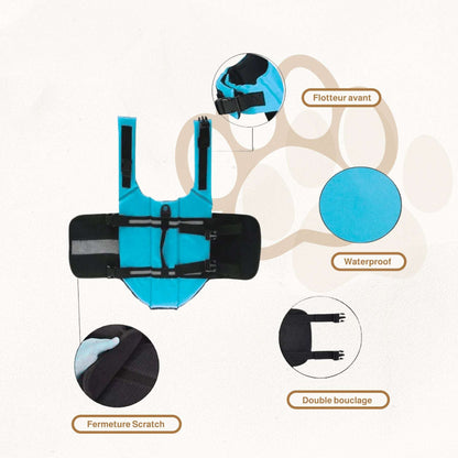 Gilet de sauvetage pour chien | AquaSafe Print