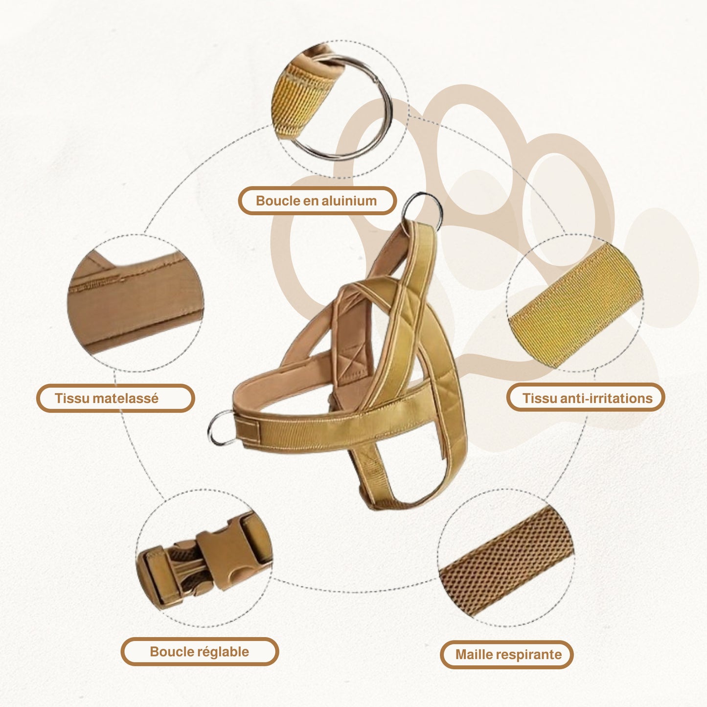 Harnais en T avec poignée | Titan Gear