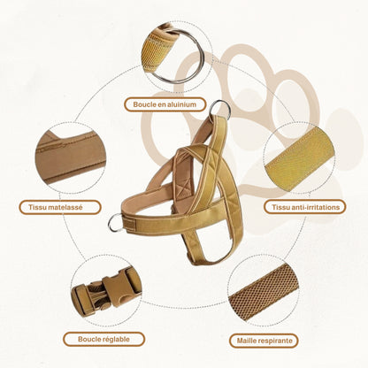 Harnais en T avec poignée | Titan Gear