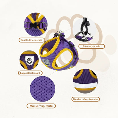 Harnais Reflechissant pour chien | PetitePatrouille PetitePromenade