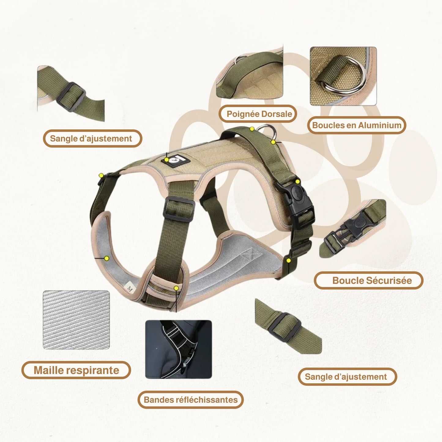 Harnais en Y pour chien | PawFit PetitePromenade