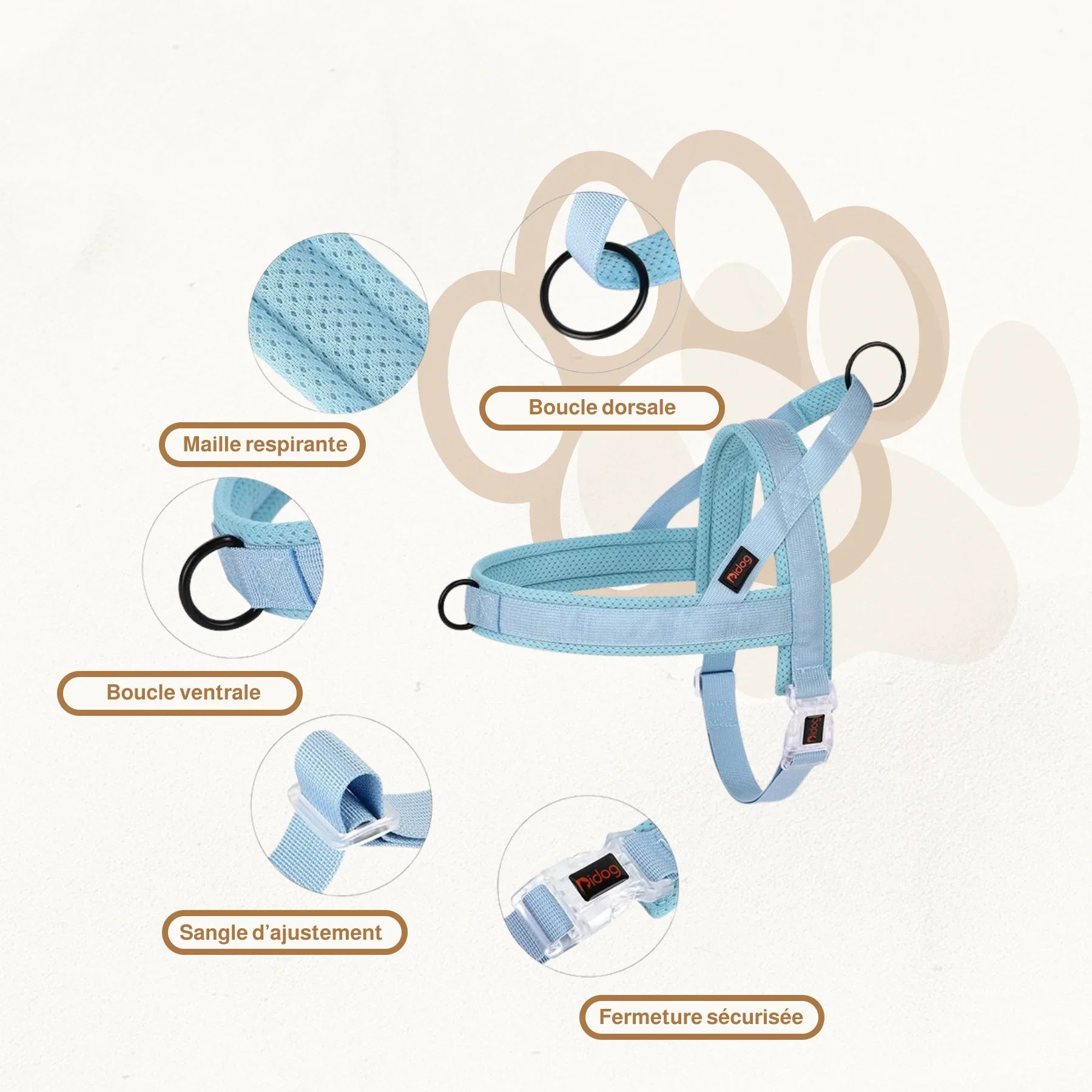 Harnais en T pour chien | Loopie PetitePromenade