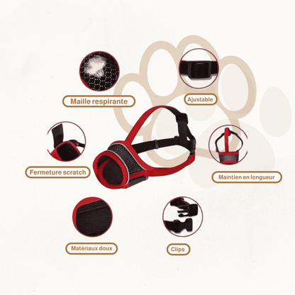 Muselière Scratch | EasyGrip