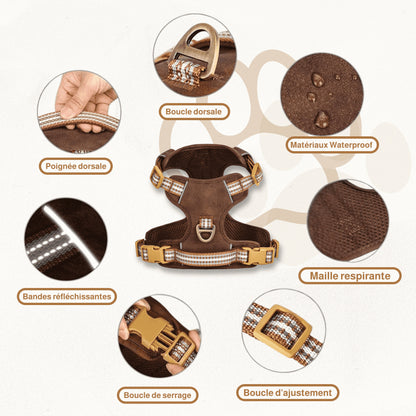 Harnais Waterproof Chien | AquaGuard