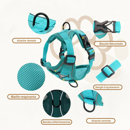 Harnais en Y petit chien | SmallY