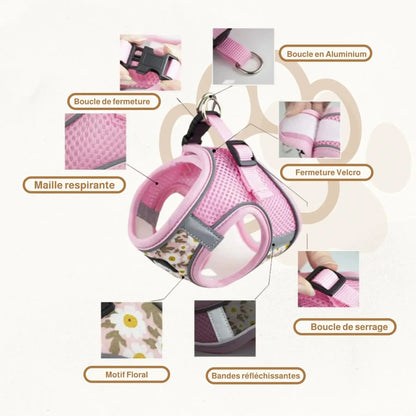 Harnais pour chien à motif | Bloomy PetitePromenade