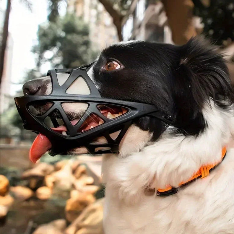 Museliere chien confortable | AeroBreeze - PetitePromenade