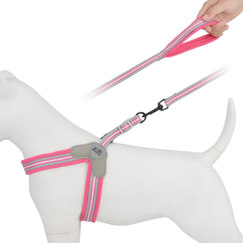 Harnais norvégien pour chien | Norka Pastel PetitePromenade
