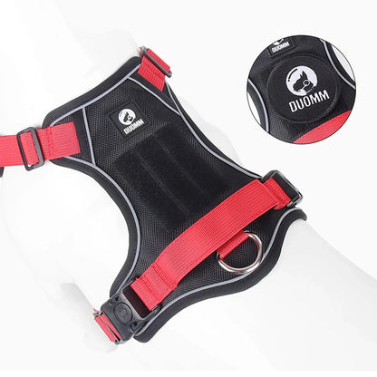 Harnais en Y pour chien | PawFit PetitePromenade