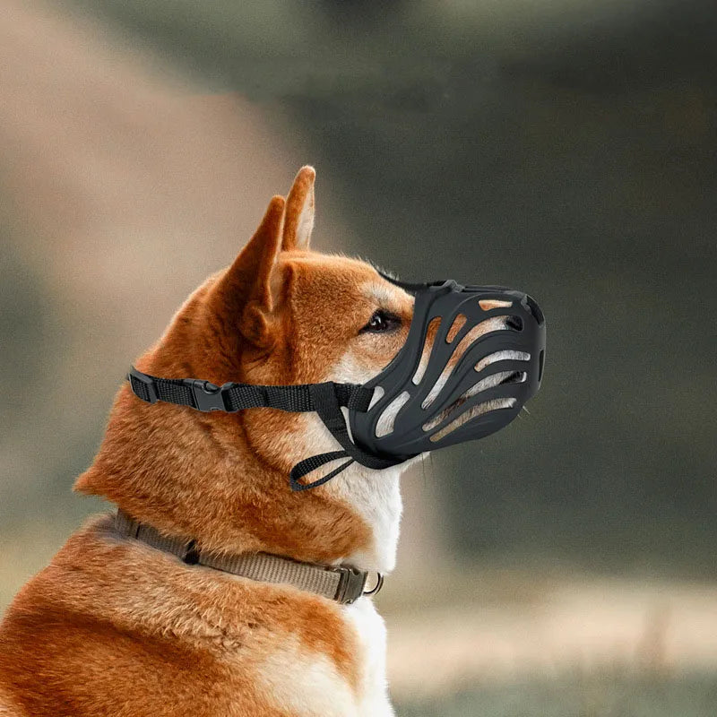 Muselière chien anti morsure | EasyGuard - PetitePromenade
