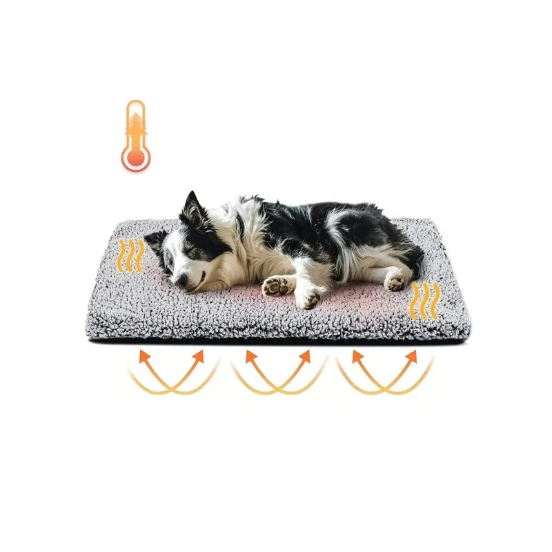 Tapis chauffant chien | WarmPup