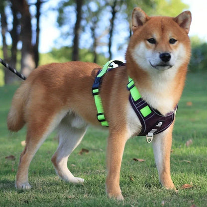 Harnais en Y pour chien | PawFit PetitePromenade