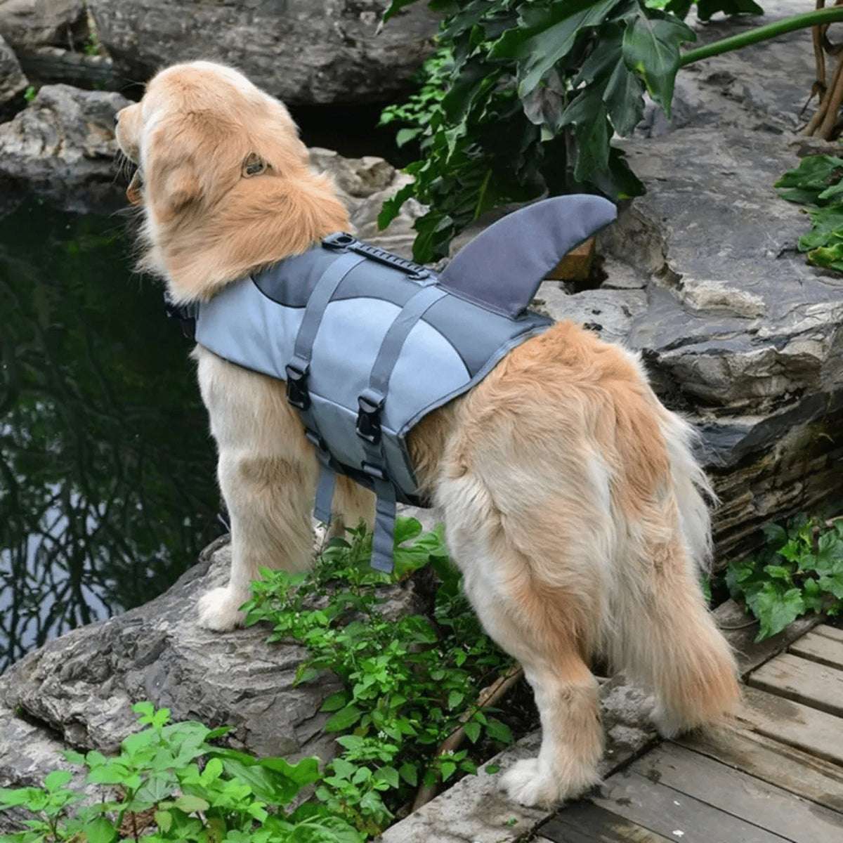 Gilet de Sauvetage Chien Requin | AquaJaws