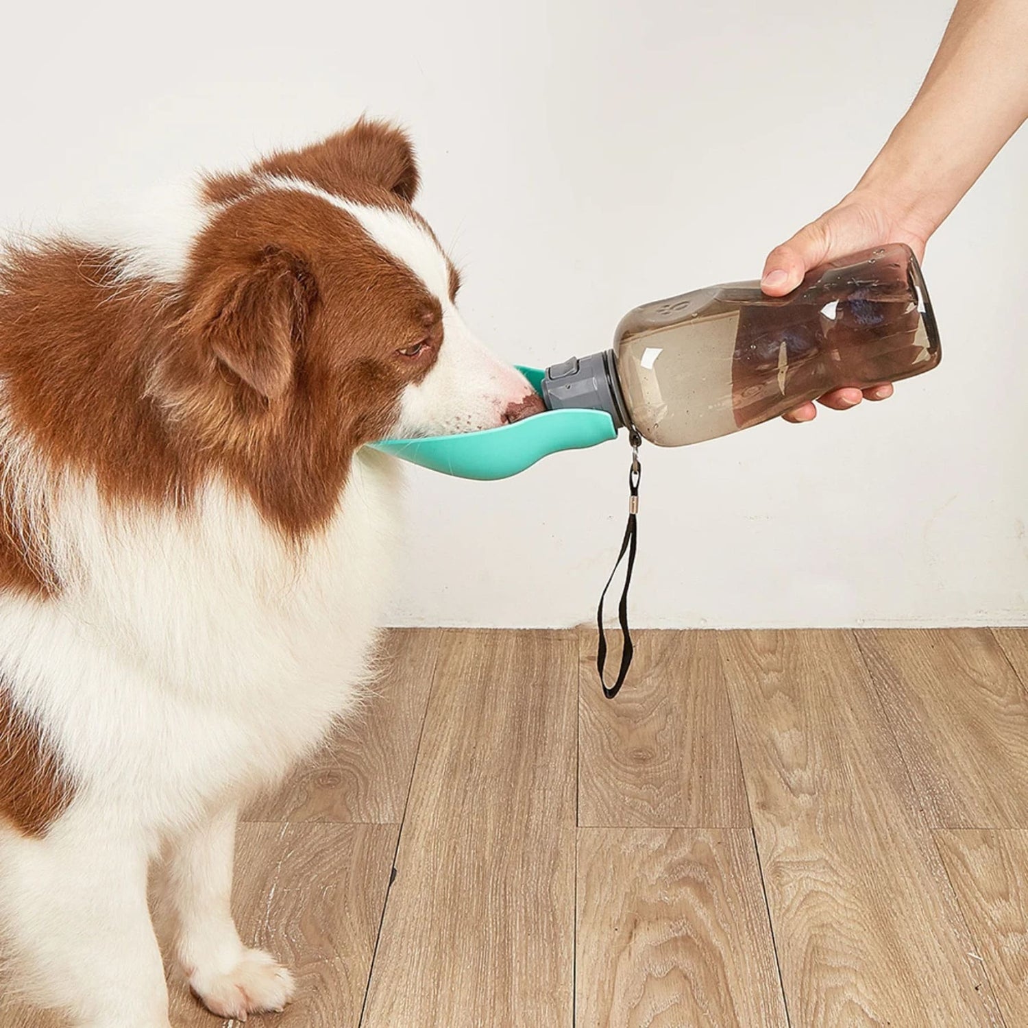 gourde-pour-chien-grande-capacite-hydromax-test