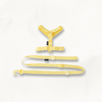 harnais-avec-laisse-assortie-pasteljoy