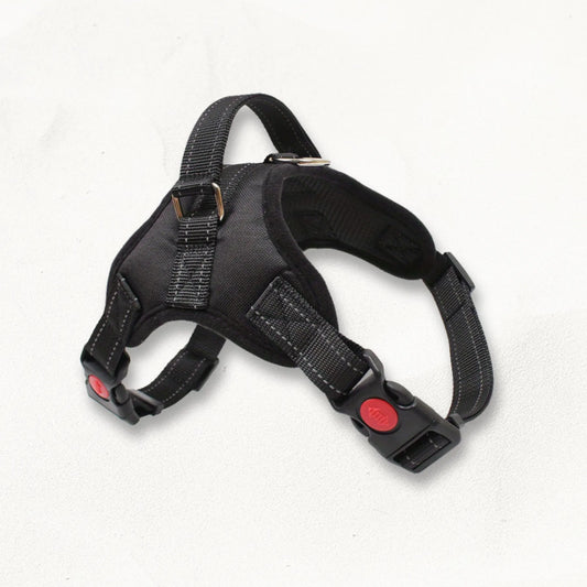 harnais-avec-poignee-pour-chien-atlas-discretion