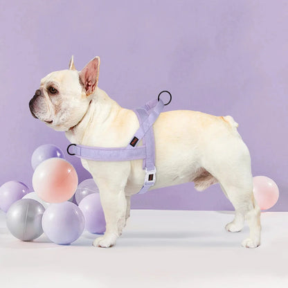 harnais-en-t-pour-chien-loopie-violet