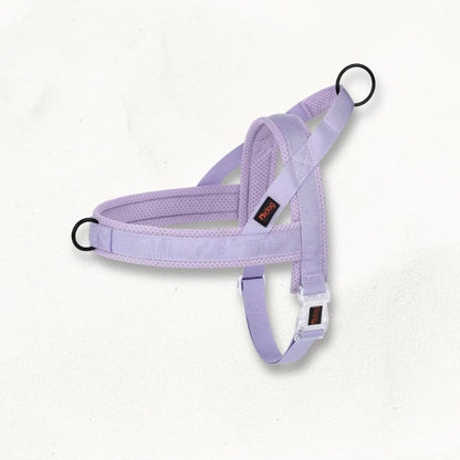 harnais-en-t-pour-chien-loopie