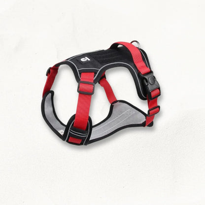 harnais-en-y-pour-chien-pawfit