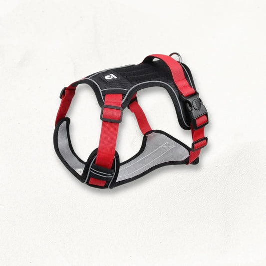 harnais-en-y-pour-chien-pawfit