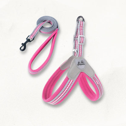 harnais-norvegien-pour-chien-norka-pastel