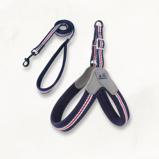 harnais-norvegien-pour-chien-norka-tricolore