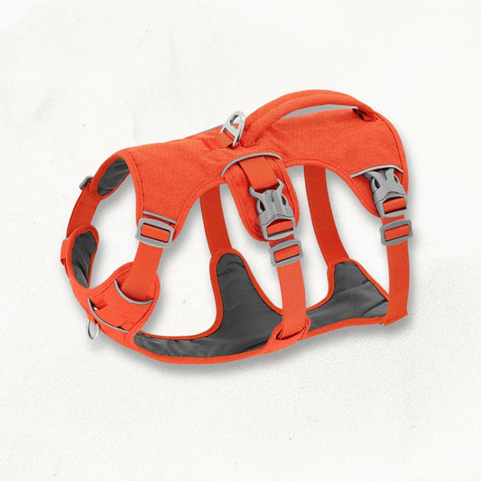 harnais-whippet-aerowrap-control