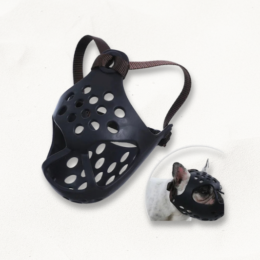 museliere-museau-court-shortmuzzle